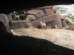 Foto's uitje Burger's Zoo