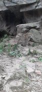 Foto's uitje Burger's Zoo
