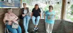 Foto's uitje Burger's Zoo