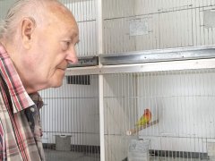 De 12 voliere vragen van Dies van Mossel