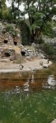 Foto's uitje Burger's Zoo