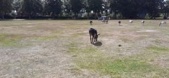Ledenuitje 2022