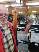Prijzen gevallen op de Kleine Kring Prijzen gevallen op de Kleine Kring