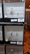 Onze eigen Tentoonstelling Onze eigen Tentoonstelling