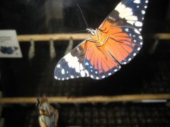 Foto's uitje Burger's Zoo